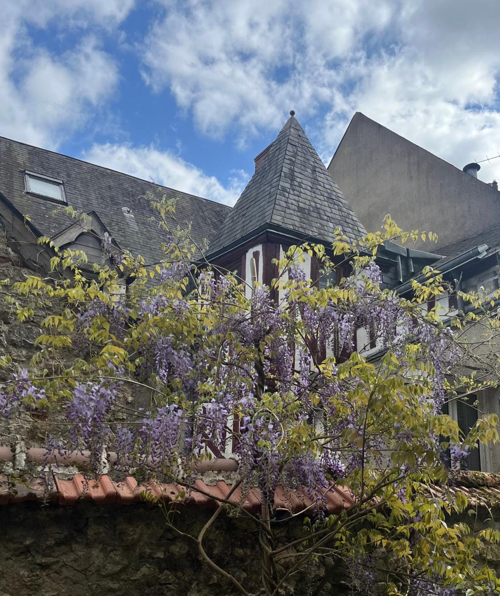 Chatel Rose - Historical Centre With Garden بلْوا المظهر الخارجي الصورة